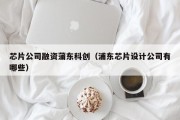 芯片公司融资蒲东科创（浦东芯片设计公司有哪些）