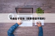 戏曲赵子龙妆（我要看赵子龙的）
