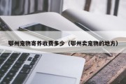 鄂州宠物寄养收费多少（鄂州卖宠物的地方）